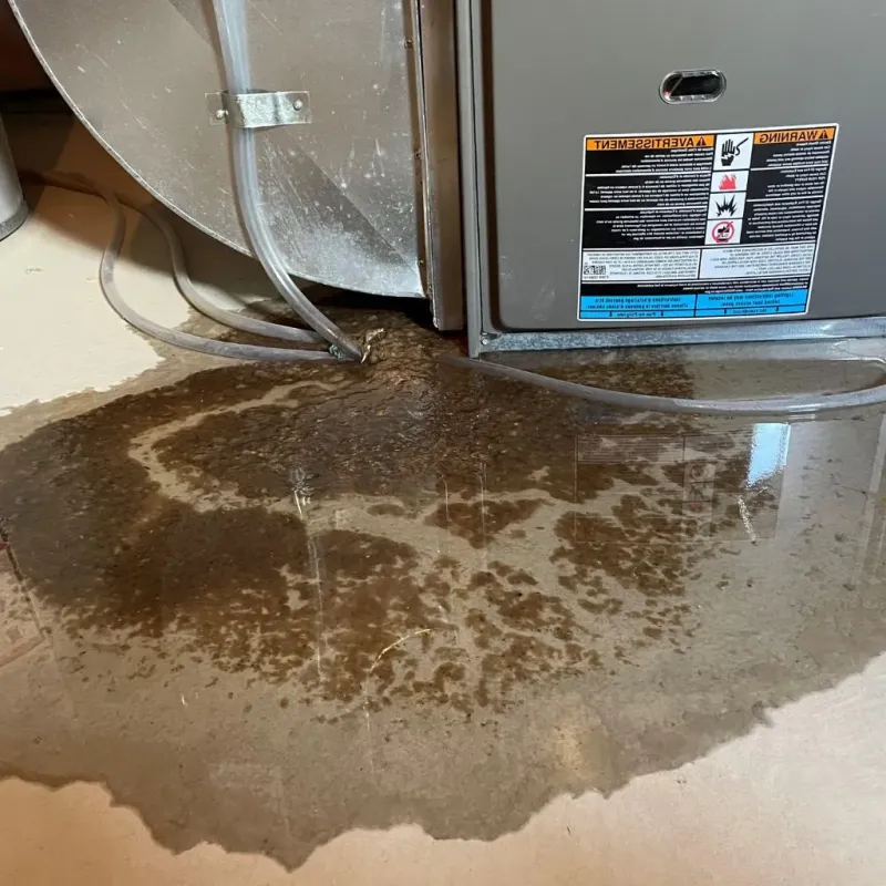 Pipe Burst and Leak Restoration in Ida County, IA