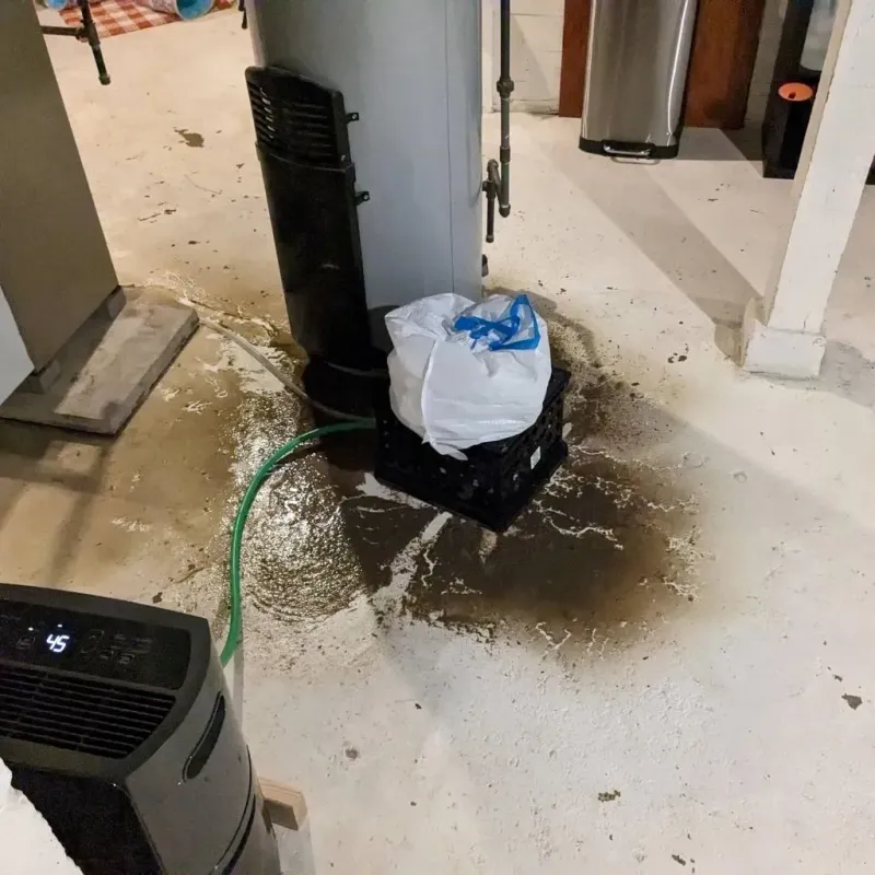 Sewage Backup Cleanup Service in Ida County, IA